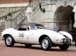Arnolt-Bristol Deluxe Roadster 1953 года